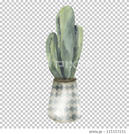 Green cactus in light pot with pattern watercolor illustration. Home plant, urban jungle green element, house interior boho decor, floral clip art for sticker, poster design Green cactus in light pot with pattern watercolor illustration. Home plant, urban jungle green element, house interior boho decor, floral clip art for sticker, poster design 115157231