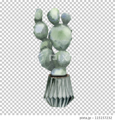 Green home plant cactus in grey scandy pot watercolor illustration. Hand drawn indoor urban jungle, green leaves for home interior decor, stickers, poster, flower shop design 115157232