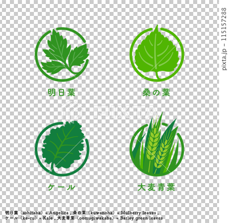 一組綠色果汁成分的圖標和標記，例如明天葉、桑葉、羽衣甘藍和大麥綠葉。 115157288