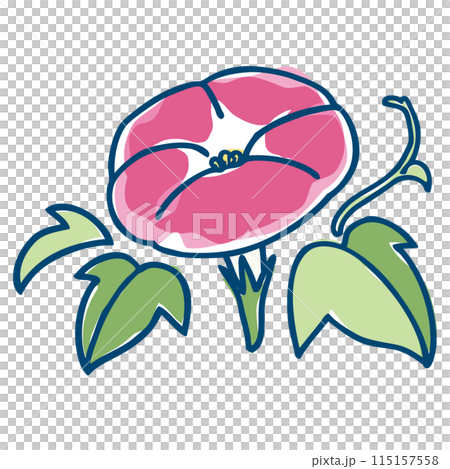 鮮やかなピンクのあさがお　シンプルでラフな塗りのイラスト 115157558