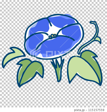 A simple and roughly painted illustration of a vibrant blue morning glory A simple and roughly painted illustration of a vibrant blue morning glory 115157559