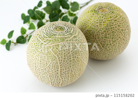 クインシーメロン(赤肉メロン) クインシーメロン(赤肉メロン) 115158202
