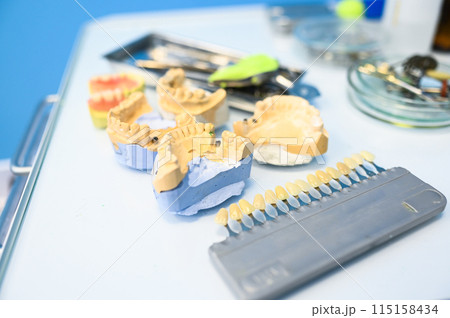 Different professional dental equipment, instruments and tools in a dentists stomatology office clinic on a white background. Silicone cast of the jaw. 115158434
