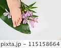 Beautiful perfect female skin legs feet top view with tropical flowers and green palm leaf. Nail polish, care and clean, spa pedicure treatment in white. Concept on background isolated. Copy space 115158664