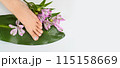 Beautiful perfect female skin legs feet top view with tropical flowers and green palm leaf. Nail polish, care and clean, spa pedicure treatment in white. Concept on background isolated. Copy space 115158669