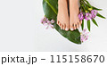 Beautiful perfect female skin legs feet top view with tropical flowers and green palm leaf. Nail polish, care and clean, spa pedicure treatment in white. Concept on background isolated. Copy space 115158670