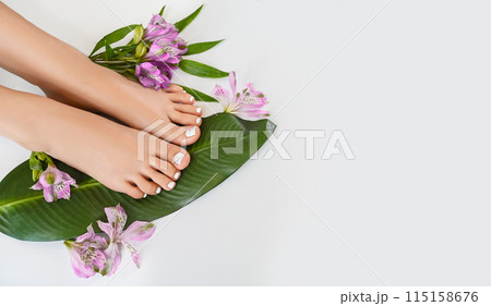 Beautiful perfect female skin legs feet top view with tropical flowers and green palm leaf. Nail polish, care and clean, spa pedicure treatment in white. Concept on background isolated. Copy space Beautiful perfect female skin legs feet top view with tropical flowers and green palm leaf. Nail polish, care and clean, spa pedicure treatment in white. Concept on background isolated. Copy space 115158676