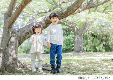 公園で遊ぶ兄弟 115159507