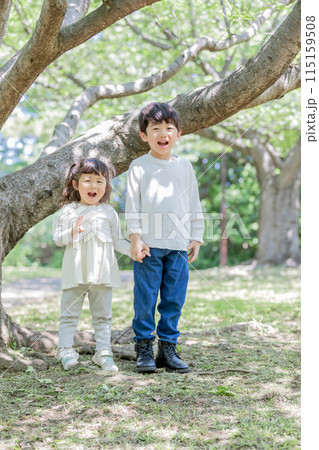 公園で遊ぶ兄弟 115159508