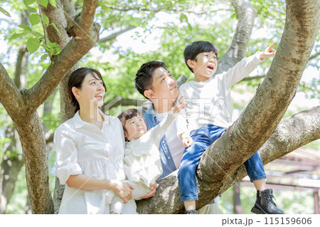 家族　親子　新緑の公園 115159606