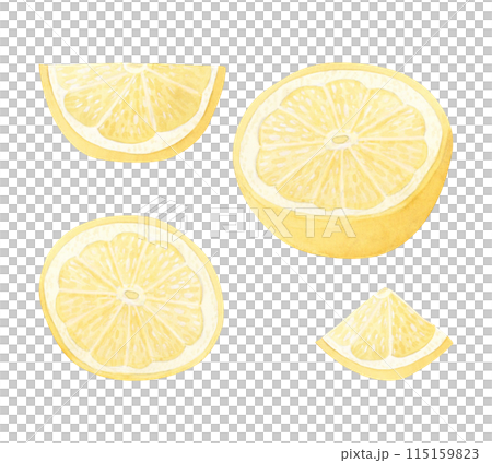 Pastel yellow lemons slices and fruit half watercolor illustration set isolated on white background. Hand drawn cut and round citrus for vitamin C products and traditional medicine recipes 115159823
