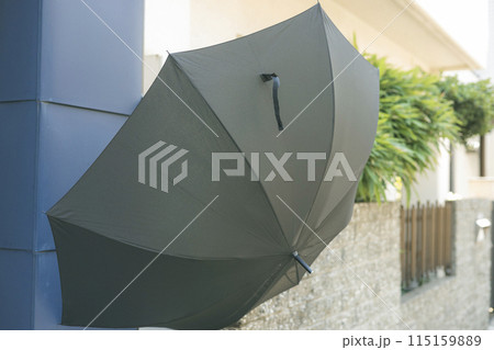 陰干し中の傘 115159889