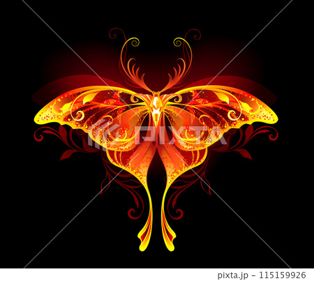 Fire moon butterfly 115159926