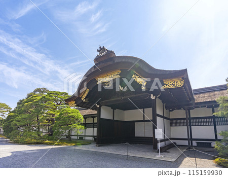 新緑の季節の京都御所　御車寄 115159930