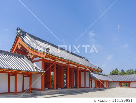 新緑の季節の京都御所　承明門・永安門・右掖門 115159951