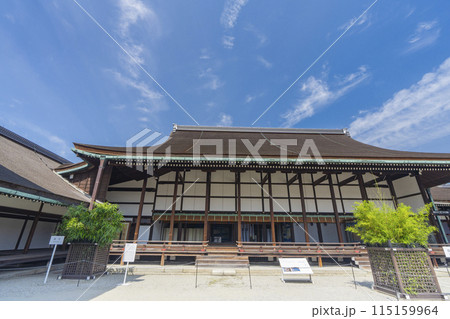 京都御所　清涼殿　漢竹と呉竹 115159964