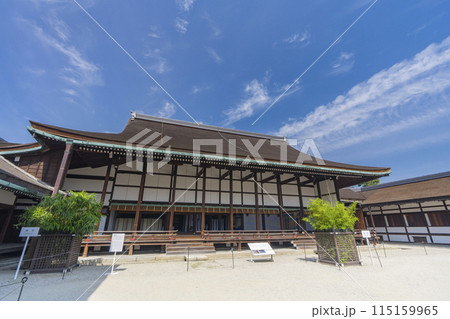 京都御所 清涼殿 漢竹と呉竹 京都御所 清涼殿 漢竹と呉竹 115159965