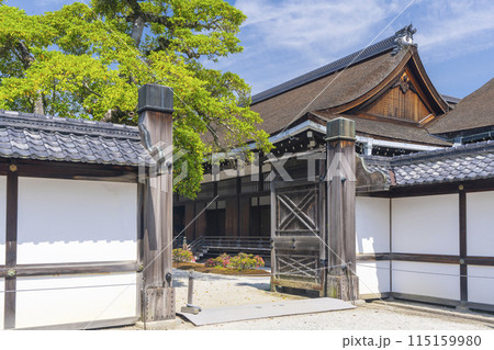 京都御所　門から見える青もみじと御三間 115159980