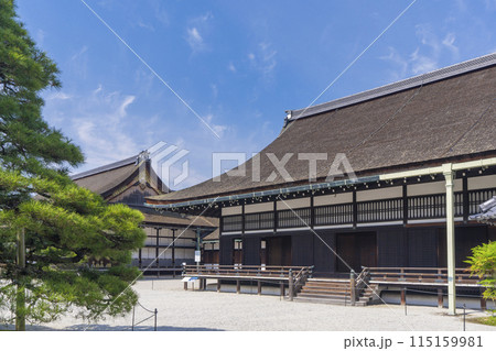 京都御所 青空に映える蹴鞠の庭 京都御所 青空に映える蹴鞠の庭 115159981