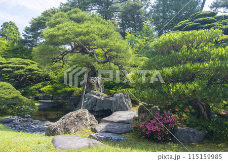 京都御所　新緑に包まれた御内庭 115159985