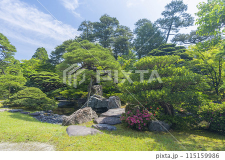 京都御所　新緑に包まれた御内庭 115159986