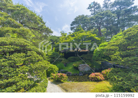 京都御所 新緑に包まれた御内庭 錦台 京都御所 新緑に包まれた御内庭 錦台 115159992