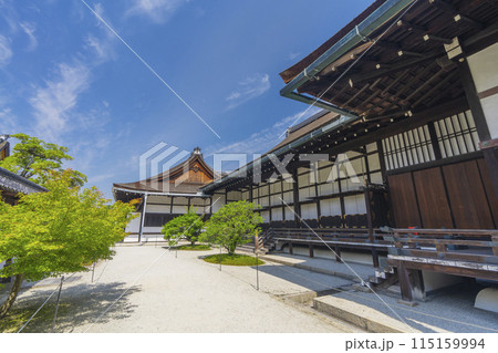 京都御所　新緑に包まれた御常御殿 115159994