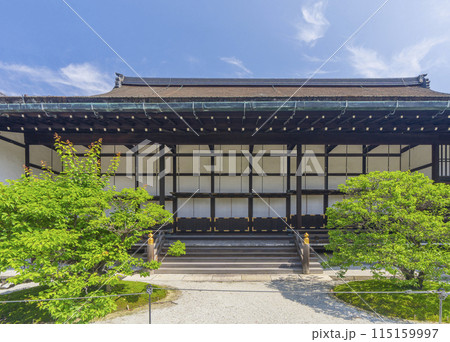 京都御所　新緑に包まれた御常御殿 115159997