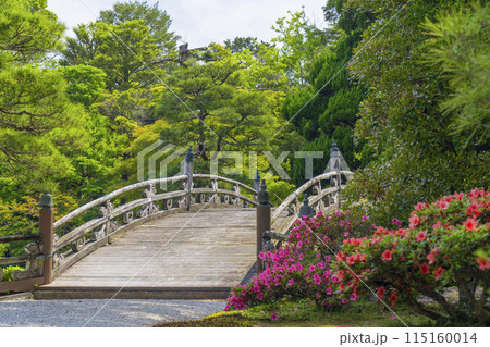 京都御所 新緑とサツキが美しい御池庭と欅橋 京都御所 新緑とサツキが美しい御池庭と欅橋 115160014