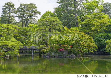 京都御所 御池庭 欅橋と蓬萊島 京都御所 御池庭 欅橋と蓬萊島 115160018