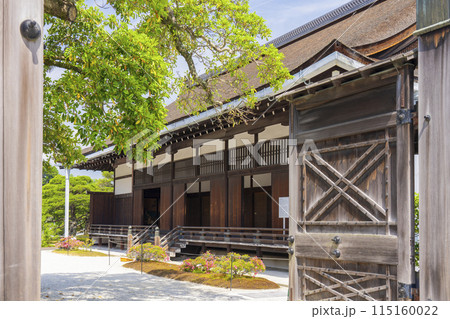 京都御所　門から見える青もみじと御三間 115160022