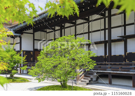 京都御所　新緑に包まれた御常御殿 115160028