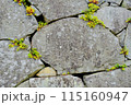 お城の石垣 115160947