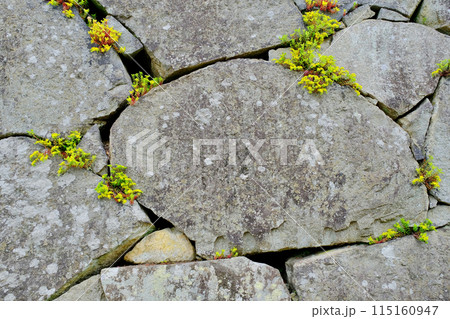 お城の石垣 115160947