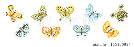 Butterfly Flying Insect with Ornament on Wings Vector Set Butterfly Flying Insect with Ornament on Wings Vector Set 115160984
