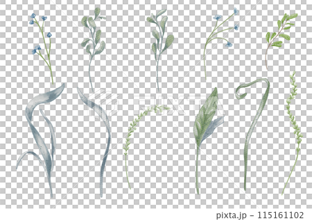 Botanical set delicate green and blue foliage and small flowers watercolor illustration isolated. Various abstract leaves and stems in neutral tone hand drawn. For nature themed projects and decor Botanical set delicate green and blue foliage and small flowers watercolor illustration isolated. Various abstract leaves and stems in neutral tone hand drawn. For nature themed projects and decor 115161102