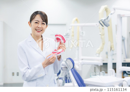 歯磨き指導をする歯科医師・歯科衛生士の女性 歯磨き指導をする歯科医師・歯科衛生士の女性 115161134