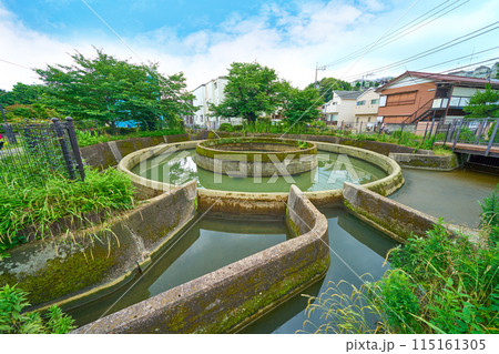 神奈川県川崎市高津区の久地円筒分水(小杉,溝口,根方ぼり側から) 神奈川県川崎市高津区の久地円筒分水(小杉,溝口,根方ぼり側から) 115161305