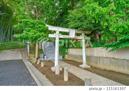 神奈川県川崎市高津区の久地神社入口の鳥居を見る 115161307