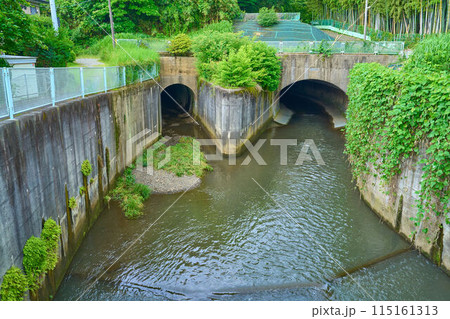 神奈川県川崎市高津区の平瀬川トンネル(旧抗と新坑) 115161313