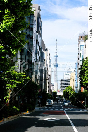 日本橋の街から見た東京スカイツリー 日本橋の街から見た東京スカイツリー 115161359