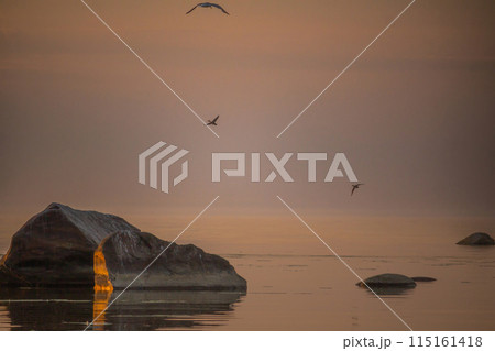 Beautiful sunset over rocky shore of sea 115161418