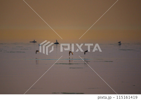 Beautiful sunset over rocky shore of sea 115161419