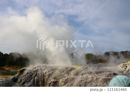 ニュージーランド　テ プイア（Te Puia）ポフツ間欠泉 115161460