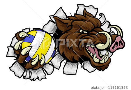 Boar Razorback Hog Volleyball Volley Ball Mascot Boar Razorback Hog Volleyball Volley Ball Mascot 115161538