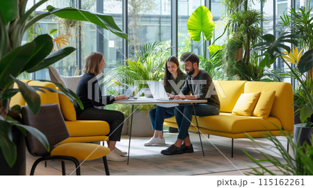 Team Professionals Working in a Modern Office 115162261