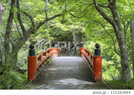 新緑の京都 西明寺参道 清滝川にかかる指月橋 新緑の京都 西明寺参道 清滝川にかかる指月橋 115162664
