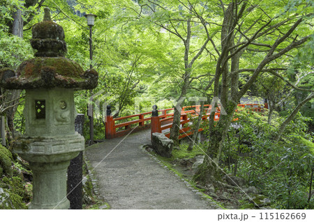 新緑の京都 西明寺参道 清滝川にかかる指月橋 新緑の京都 西明寺参道 清滝川にかかる指月橋 115162669