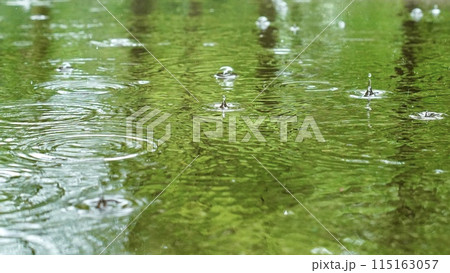 雨と水たまり 雨と水たまり 115163057