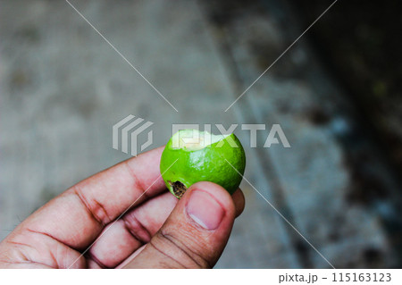A picture of Guava with selective focus 115163123